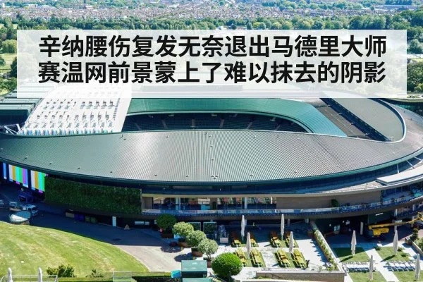 辛纳腰伤复发无奈退出马德里大师赛温网前景蒙上了难以抹去的阴影